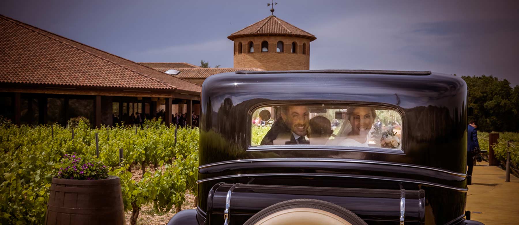 Novios en viñedo dentro de coche