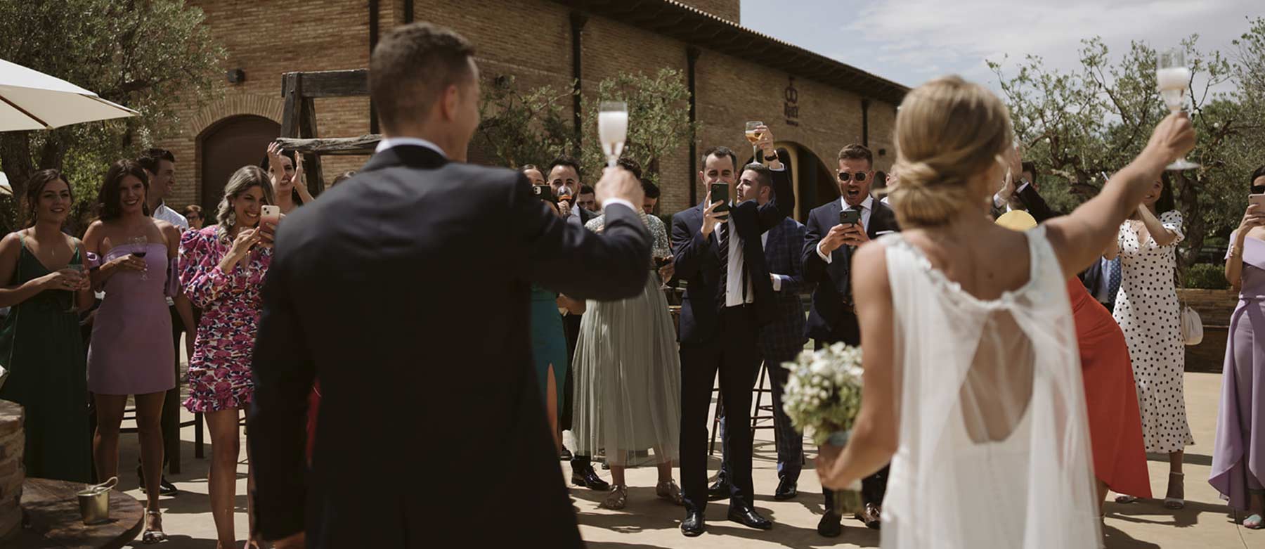 Novios en viñedo