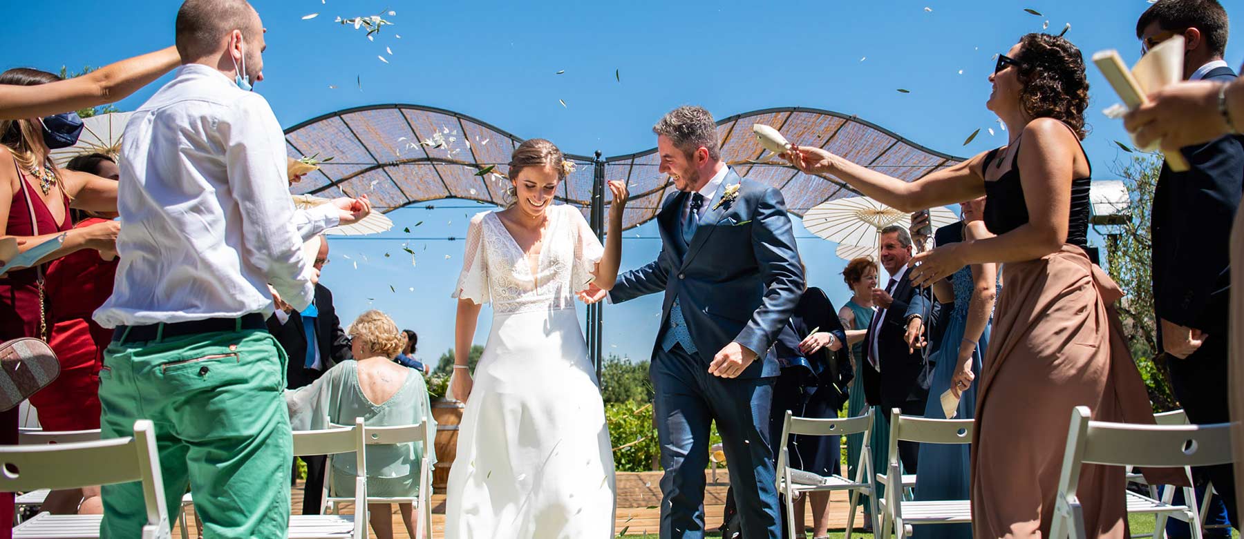 Novios en viñedo