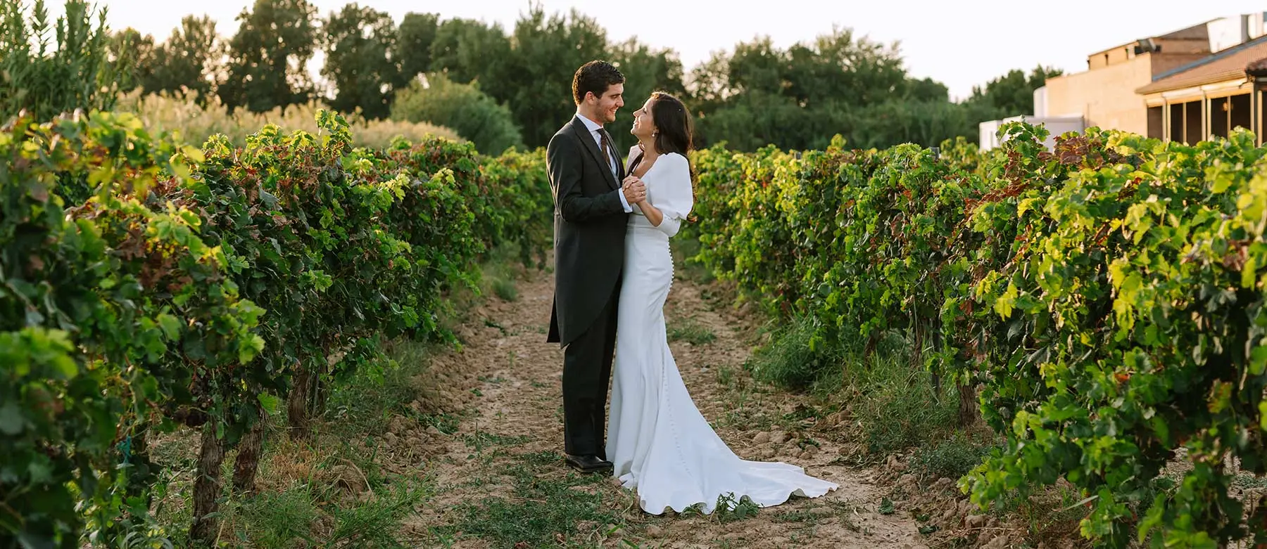 Novios en viñedo